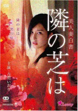极速放映季更新